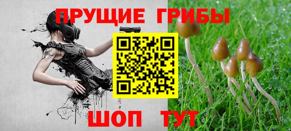 Галлюциногенные грибы GOLDEN TEACHER Краснокаменск